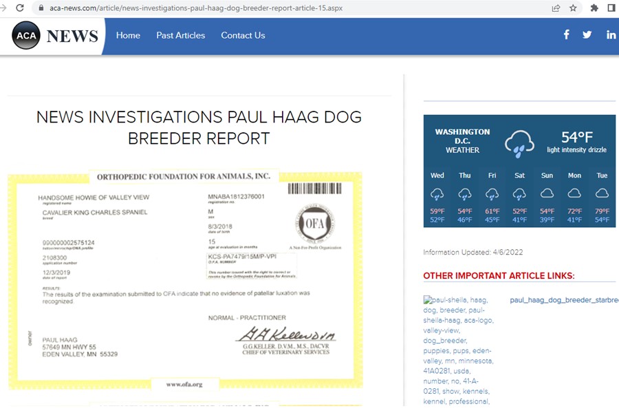 Kyle, Haag, dog, breeder, news, report, article, kyle-haag, dog-breeder, eden, valley, mn, minnesota, star, certificate, yorkshire, daschund, puppy, mill, puppymill, usda, inspection, records, kennel